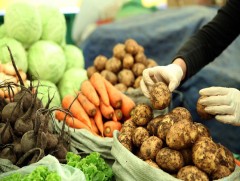 2025 оны ургацаас 977 тариаланчдад 17.1 тэрбум төгрөгийн урамшуулал олгожээ