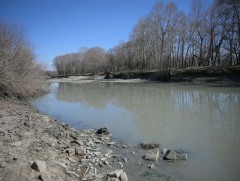 Туул голын усны чанар стандарт хэмжээнээс давсан бохирдолтой байна