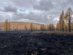 Ой, хээрийн түймрээс урьдчилан сэргийлэхийг зөвлөж байна 