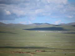 “Дэлхийн адууны өдөр” морьт парад болно 