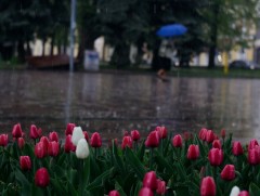 Ойрын 10 хоногийн цаг агаарын урьдчилсан төлөв 