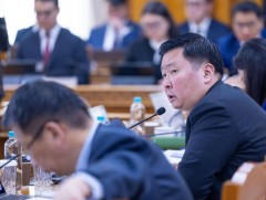 ЗГ: Орон сууцжуулалтын тухай анхдагч хуулийн төсөл, Орон сууцны санхүүжилтийн банкны тухай анхдагч..
