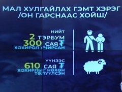 Он гарснаас хойш мал хулгайлах 483 гэмт хэрэг бүртгэгджээ