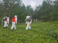 Завхан аймгийн Идэр суманд ойн хөнөөлт шавжтай тэмцэх ажил үргэлжилж байна