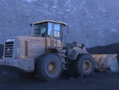 Мэргэжлээс шалтгаалсан өвчлөлд тоосжилтоос үүдэлтэй уушгины өвчлөл зонхилж байна 
