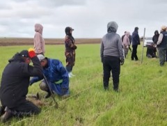 Ногоон тэжээлийн ургамал 45-60 хоногт боловсордог учир энэ сарын  эцэс хүртэл тариалалт хийх болом..