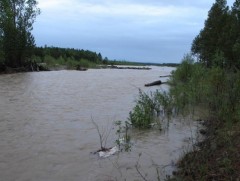 Үерийн аюулаас сэрэмжтэй байхыг анхааруулж байна