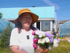 Эх орныхоо хөрс, цаг уурын нөхцөлд тохирсон баглааны цэцгийн сорт нутагшуулж байна 